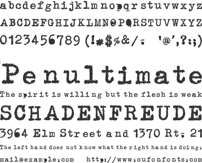 Erika Pl Dws Variant font preview