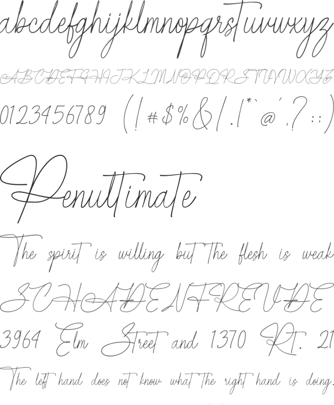 Amsterlusia font preview