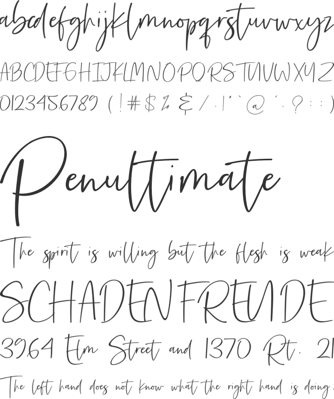 Precious Soul font preview