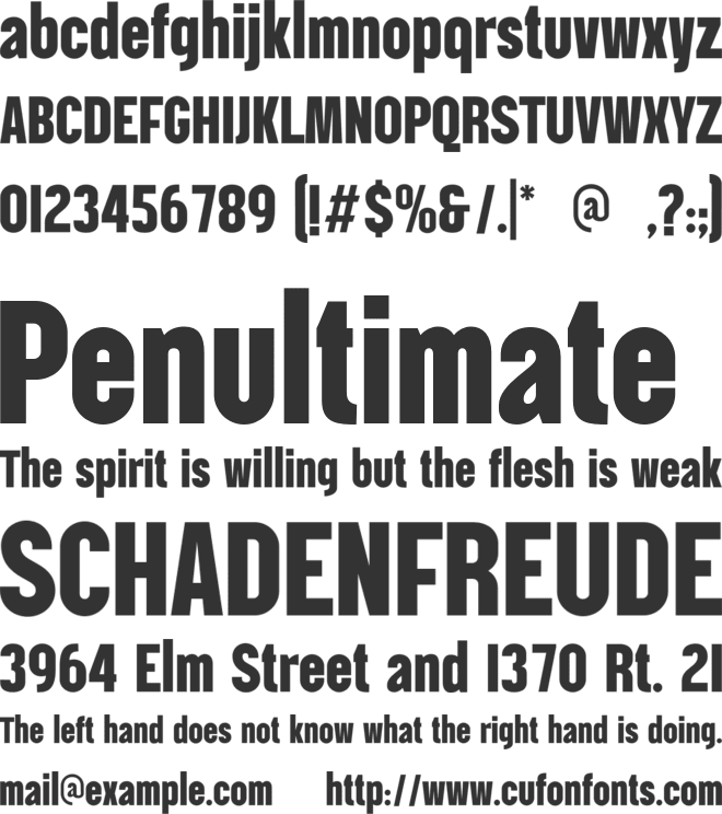 SS Anything font preview