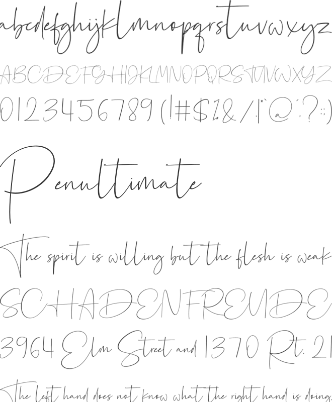 Canonatia font preview