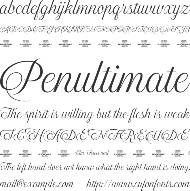 Gary Downley Script PERSONAL font preview