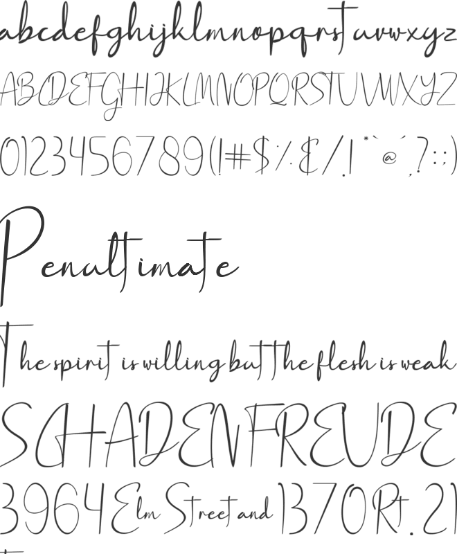 Lady Madonna font preview