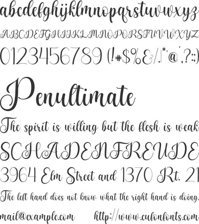 holly script font preview