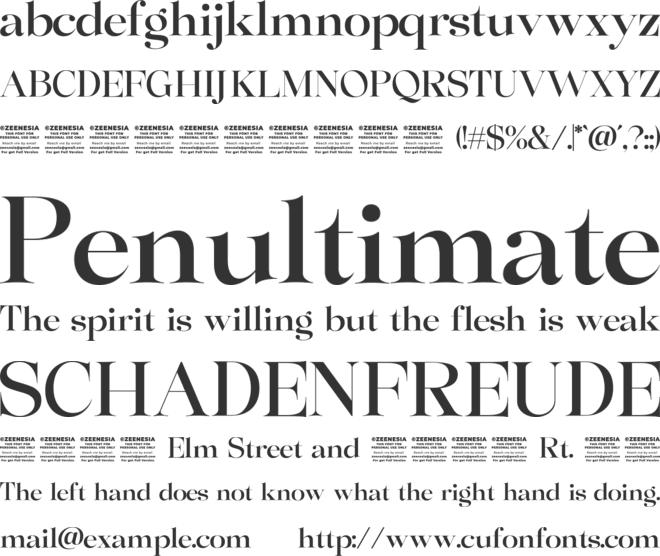 Perfectly Stylish  Personal Use Only font preview