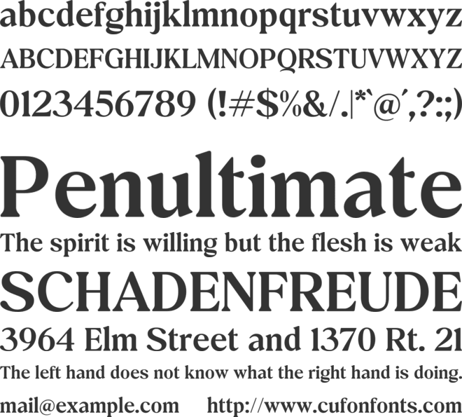 Exclusive Editorial font preview