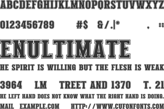 Varsity Signature font preview