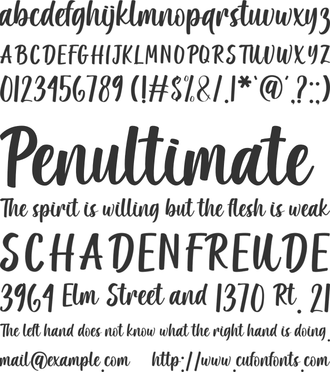 Written Birthday font preview