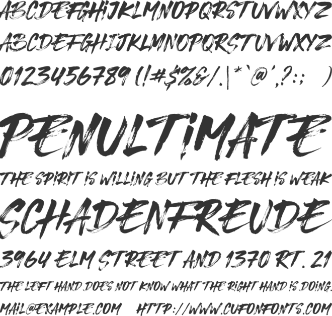 Bridgers Brush font preview