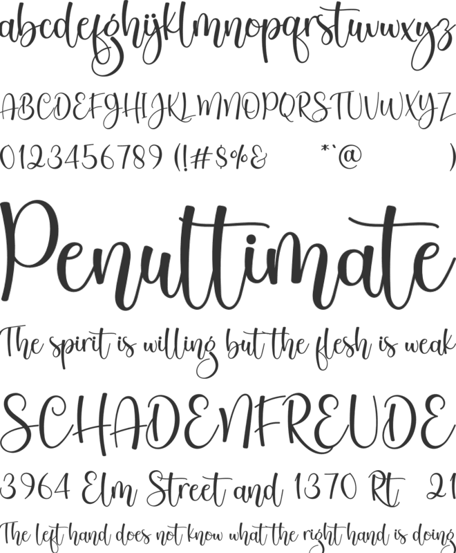 Kingbake font preview