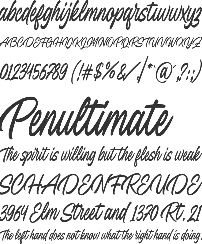 Coastal Midnight font preview