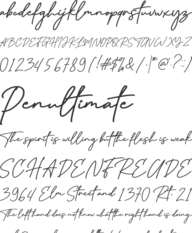 Octavian Signature font preview