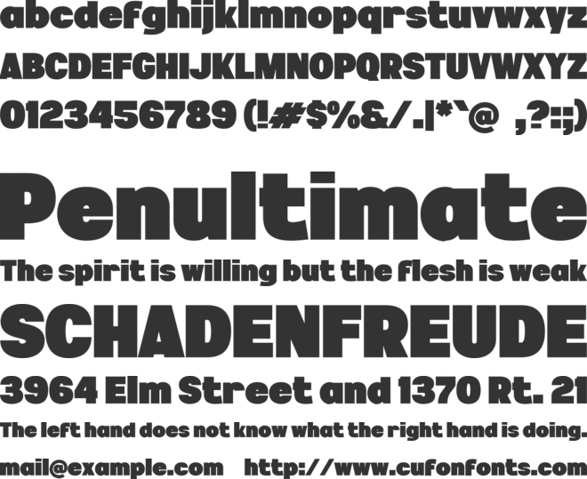 n Niely font preview