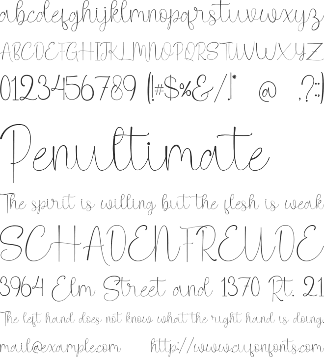 Signline font preview