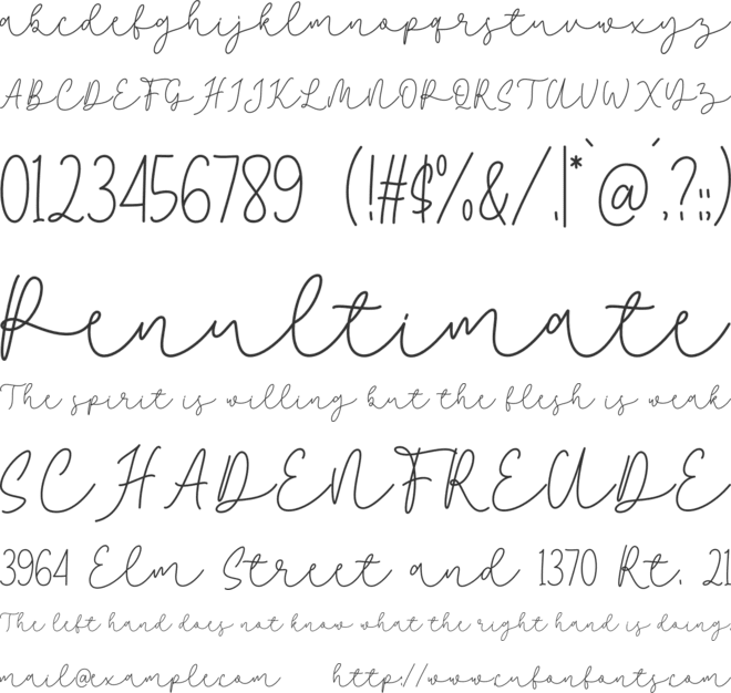 Snowy Dream Script font preview