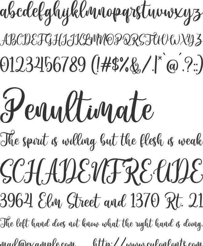 Miracle Christmas font preview