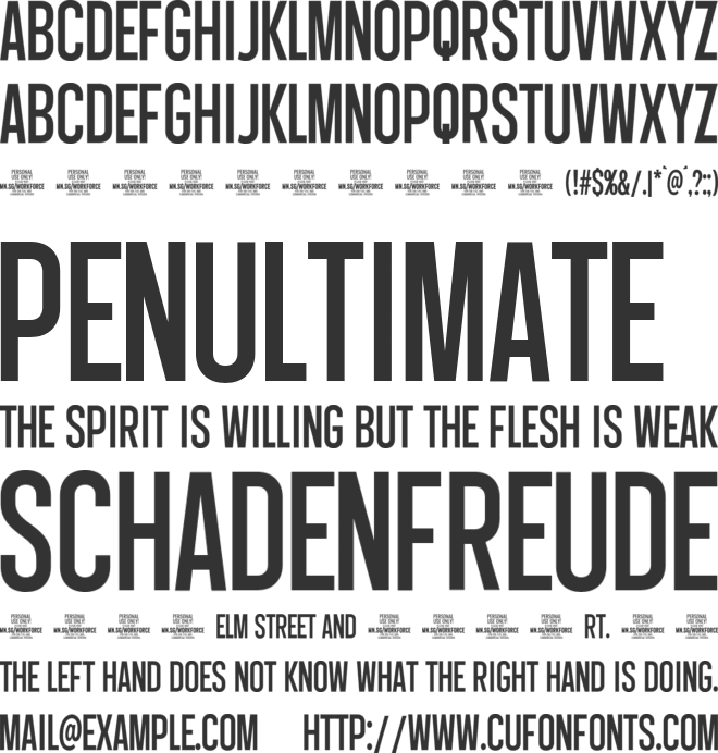 Workforce Sans PERSONAL USE font preview