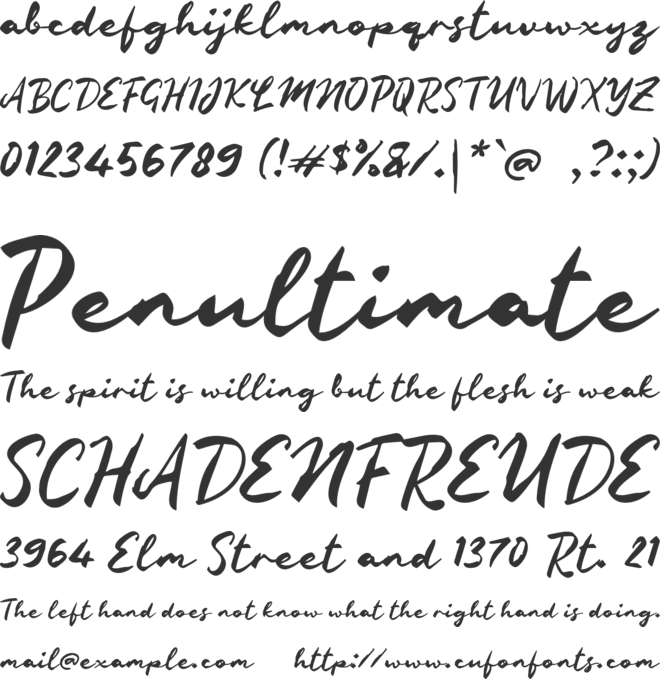 n Nastya font preview