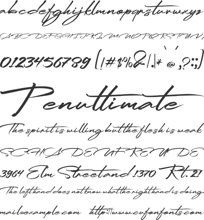 Ridenation FreePersonalUse font preview