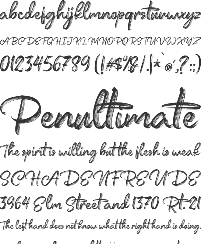 Festany FreePersonalUse font preview