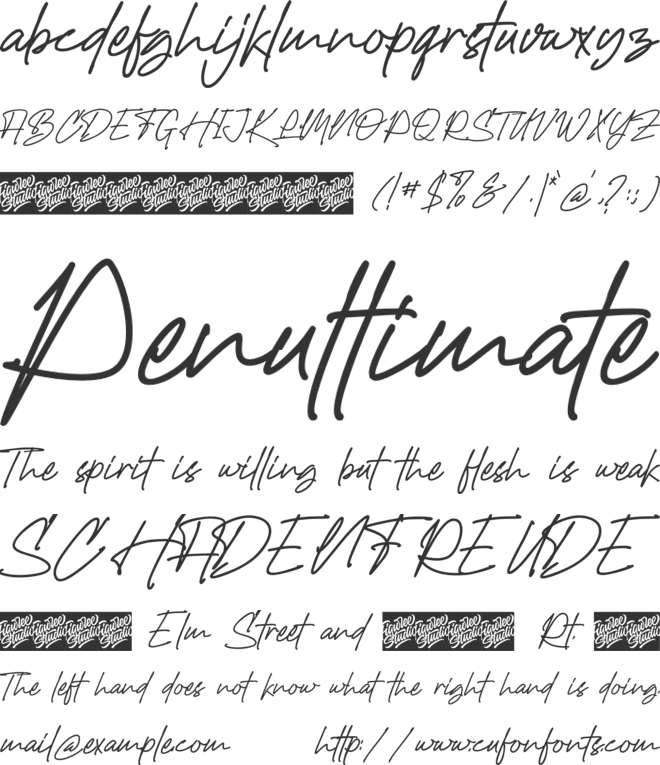 Hadejah Signature font preview