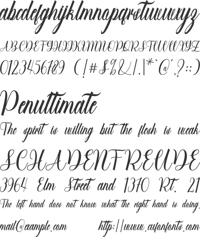 Blondey Script Font : Download Free for Desktop & Webfont