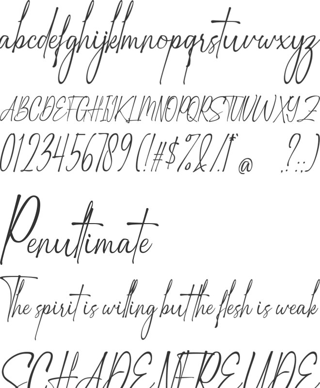 Zattany font preview