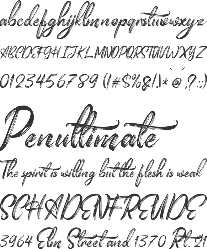 Ankerisey Personal Use font preview