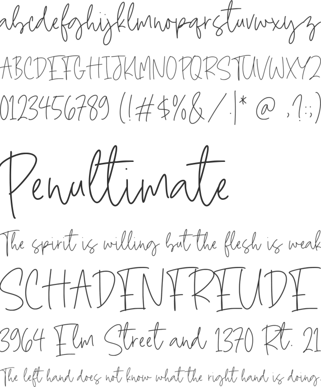 Madison Bowie font preview