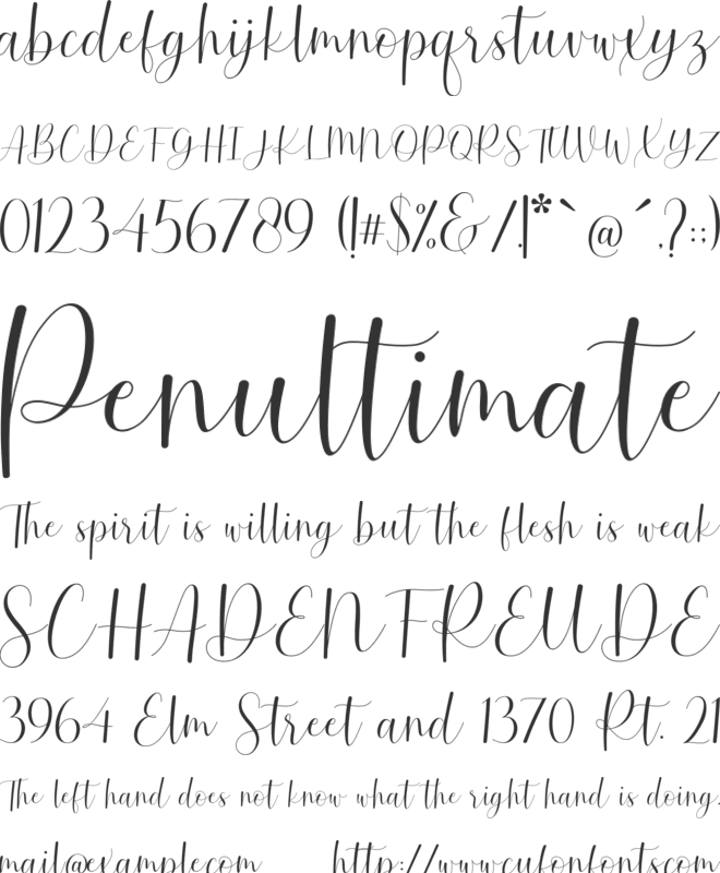 Saffire font preview