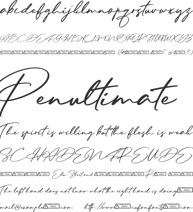 Dalli Signature PERSONAL USE ON font preview