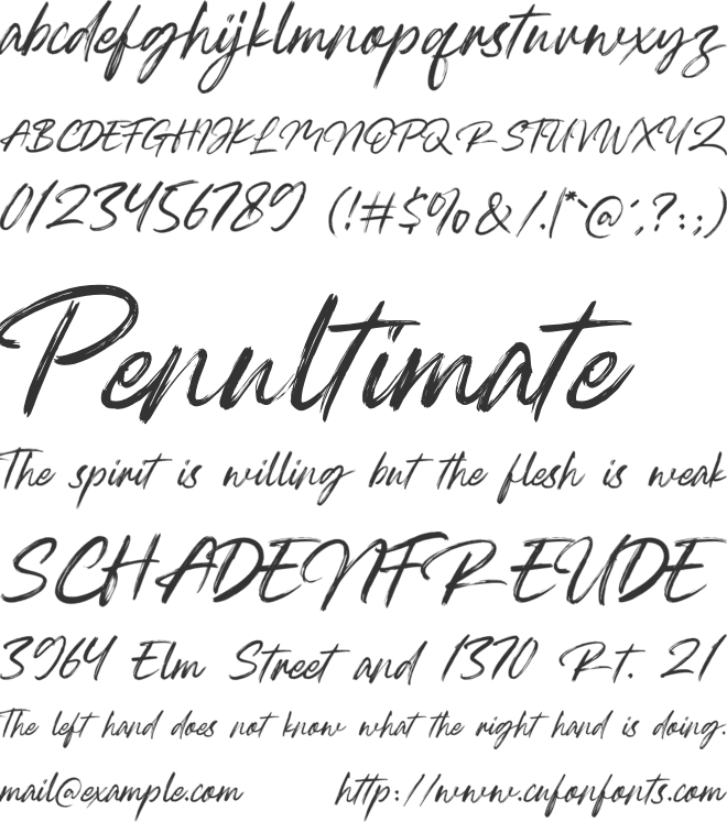 Raytune font preview