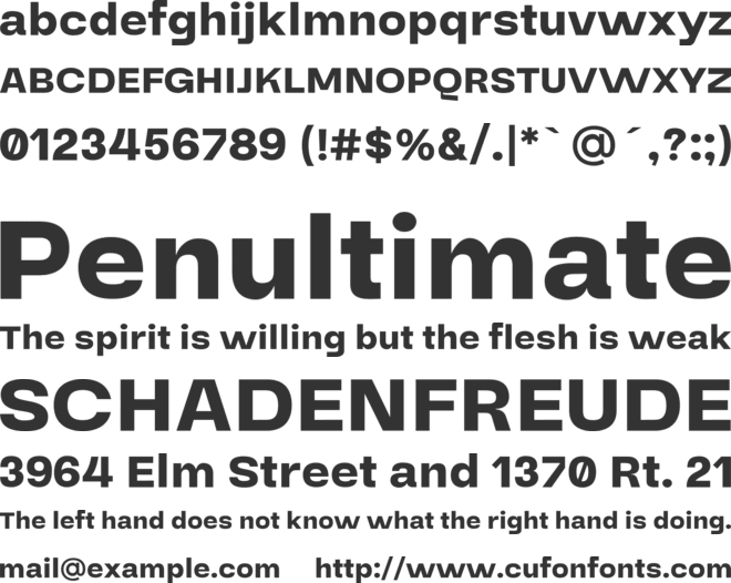 Stara Sans Serif Font font preview