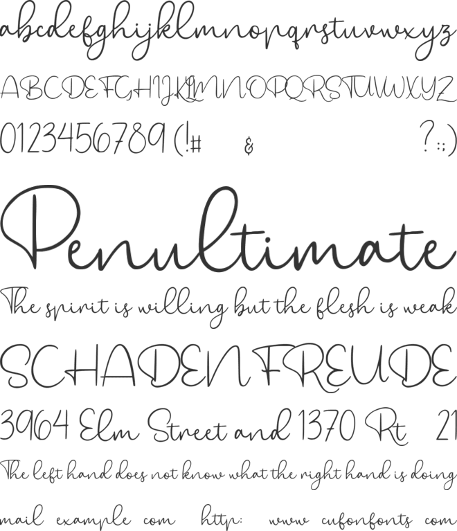 Bryan Kimberly font preview