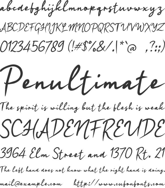 n Nayolina font preview