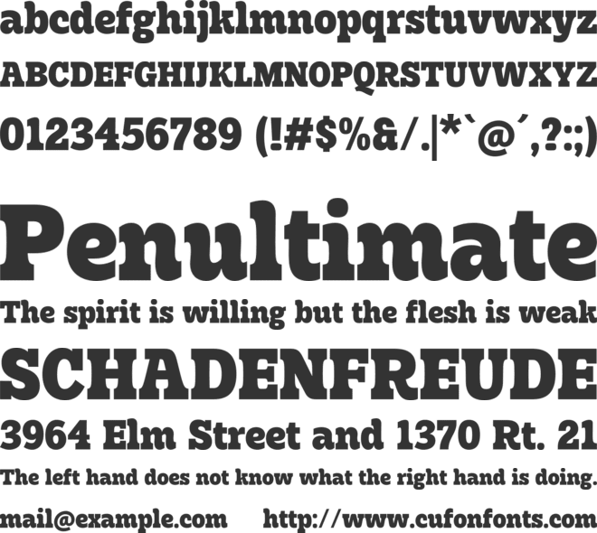 Wild Bounty font preview