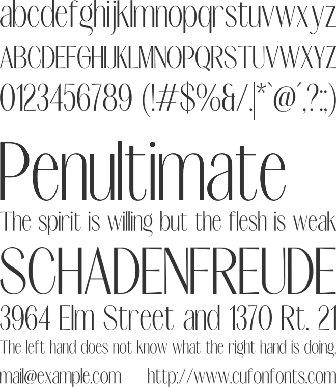 Signora font preview