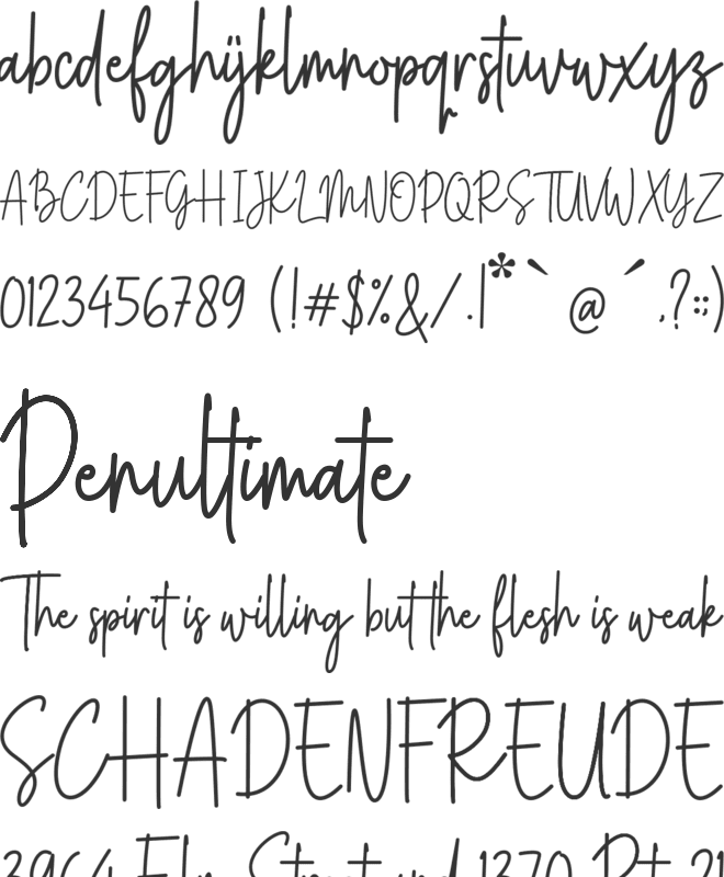 Youth Syndicate font preview