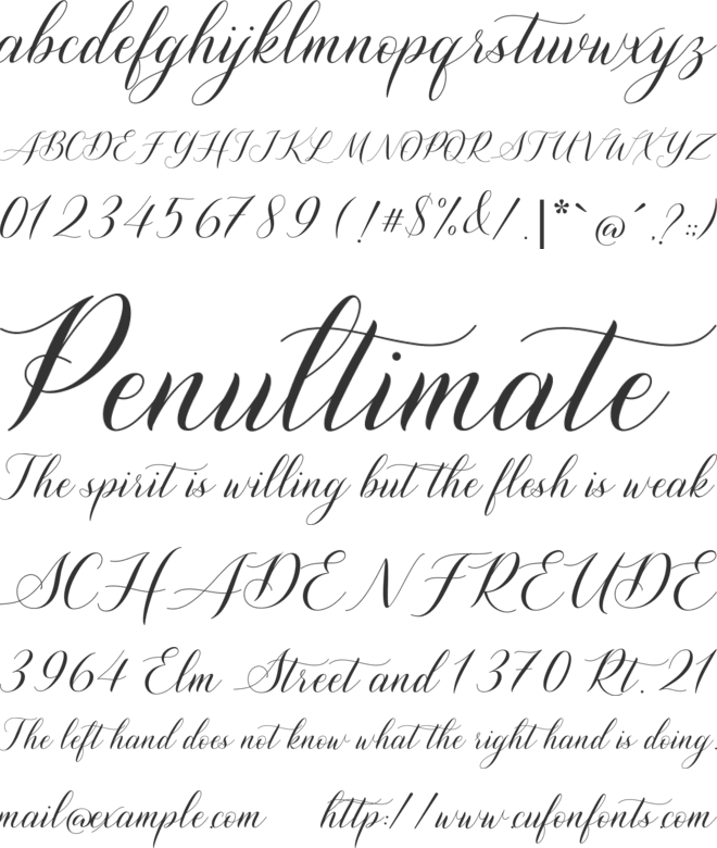 Shutterday font preview