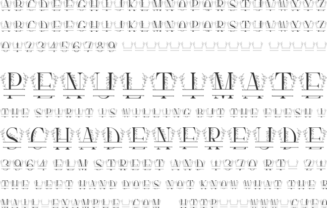 Simple Leaves Monogram font preview