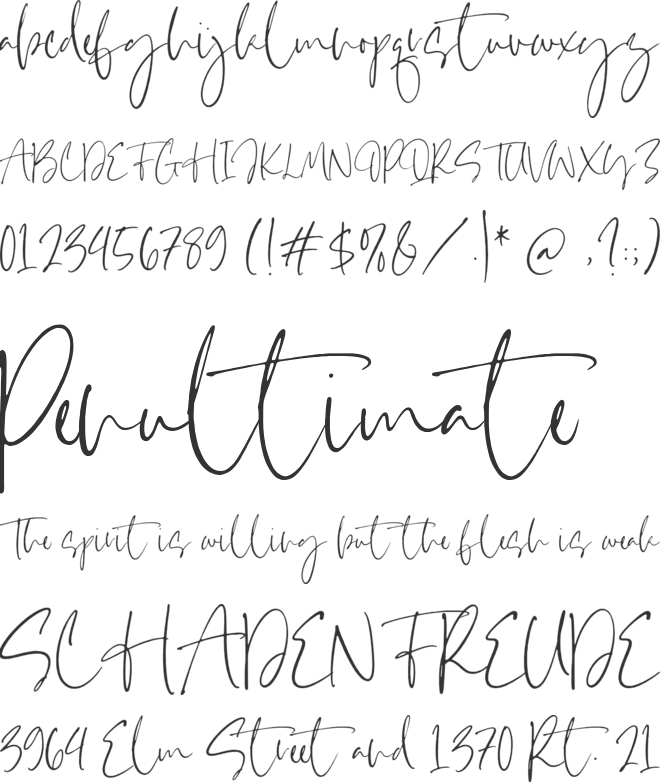 Villary Wisdom font preview