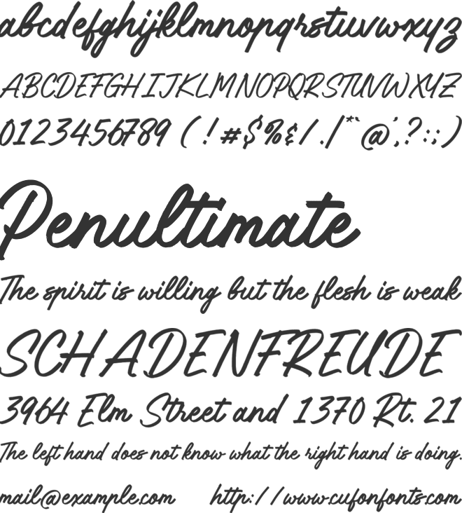 Blocken Script font preview