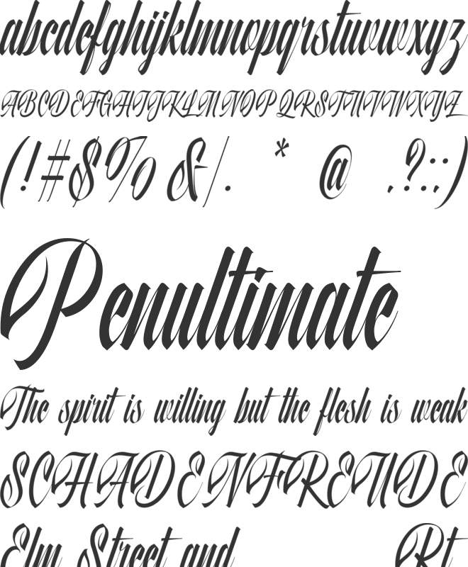 Quality Brazilian font preview