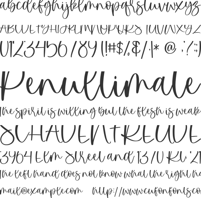 holidate font preview