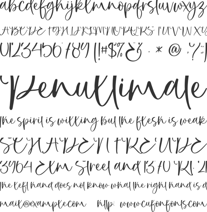 Yasinta font preview