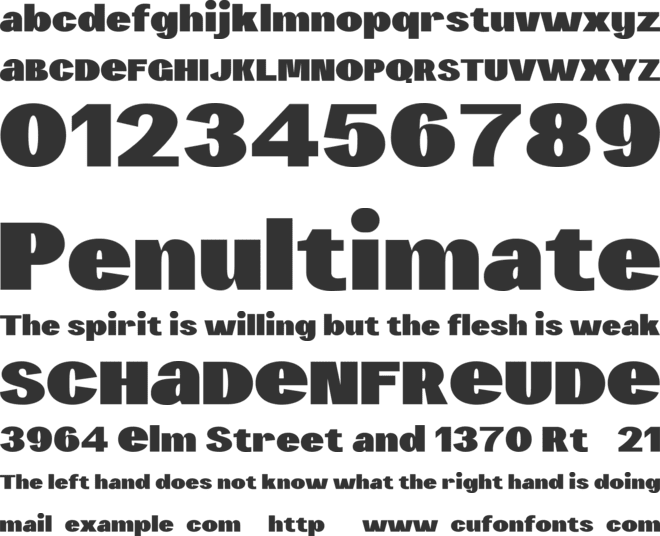 Erakoni Personal Use font preview