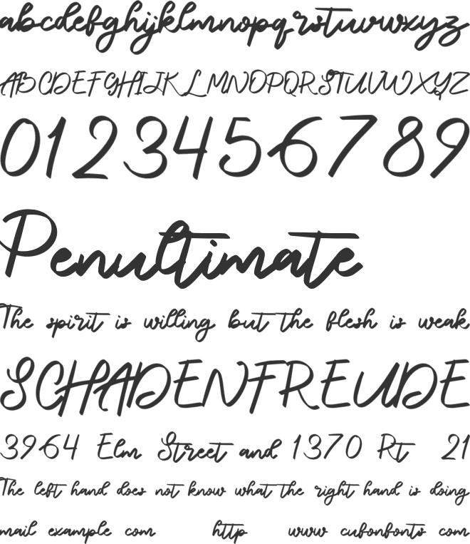 Naraine Personal Use font preview