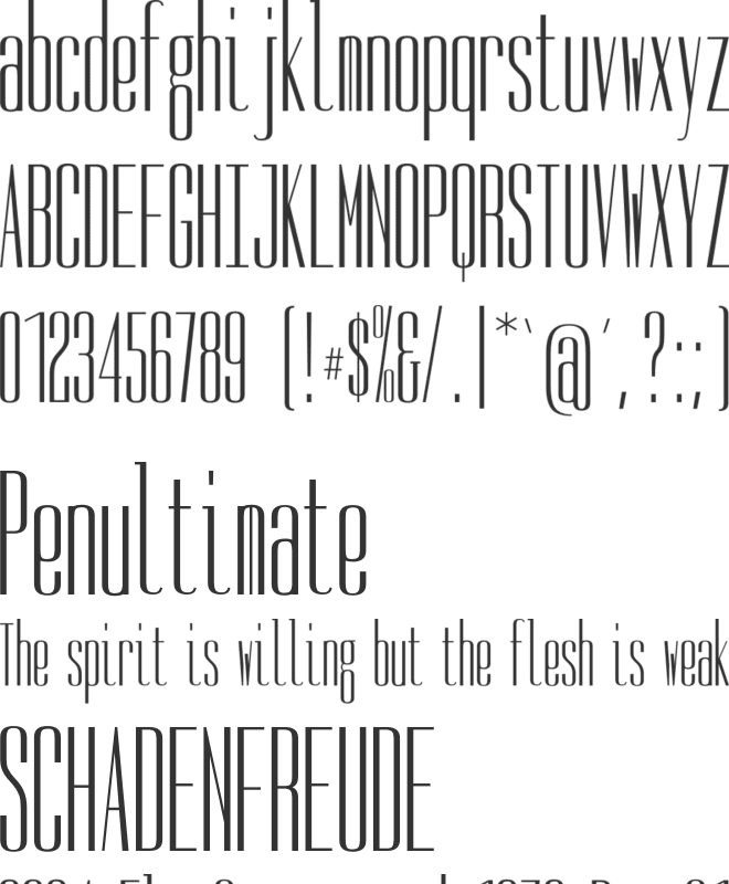 naghashi font preview