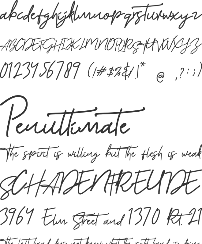 AUSTIN font preview