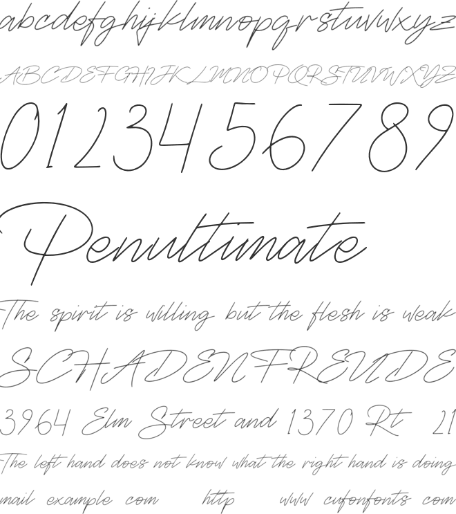 Reideva Personal Use font preview